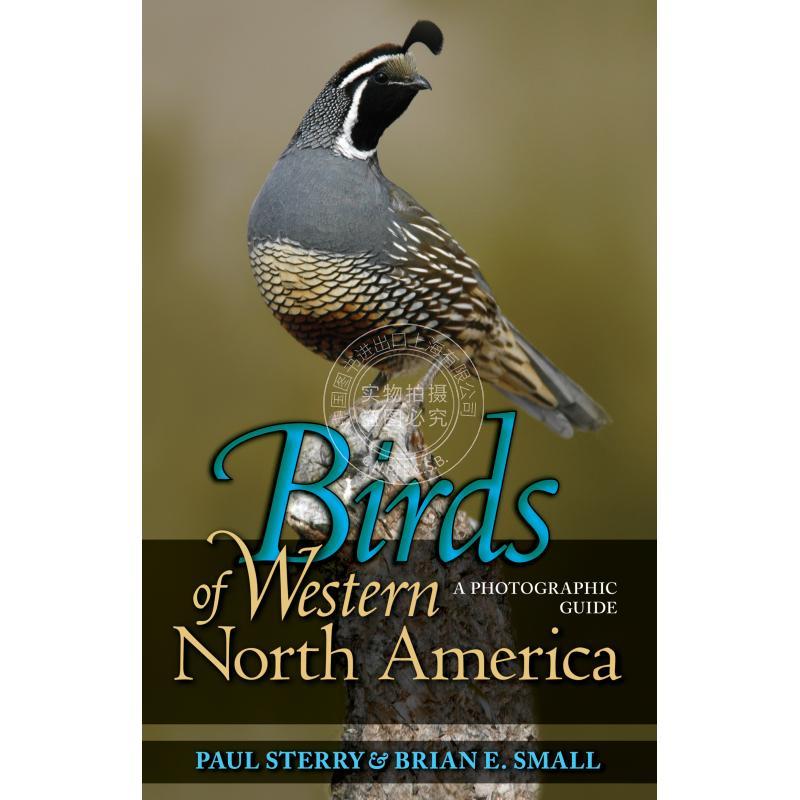按需印刷 Birds of Western North America美国西北部的鸟类:摄影指南 英文原版 普林斯顿大学出版社