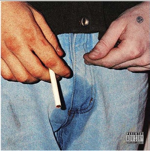 【中图音像】造物主泰勒 甜心炸弹 (十周年纪念版酷蓝双彩胶) 2LP