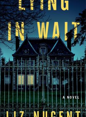 现货 伏击 英文原版 Lying in Wait 利兹·纽金特 Liz Nugent 只有他知道一切作者 解开奥利弗 犯罪小说 爱尔兰作家