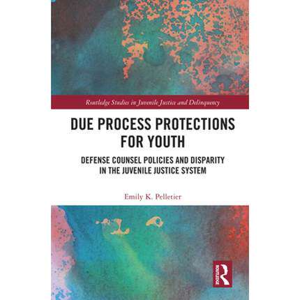 预售 按需印刷 Due Process Protections for Youth