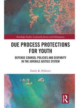 预售 按需印刷 Due Process Protections for Youth