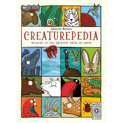 现货 生物百科 儿童科普读物 Adrienne Barman 英文原版 Creaturepedia 5-8岁