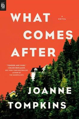 现货 What Comes After英文原版 Joanne Tompkins企鹅兰登出版外国文学小说书平装