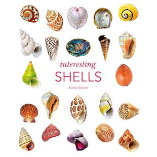 Interesting 有趣 英文原版 艺术科普画集 Shells 贝壳