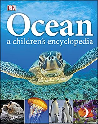 现货 DK英文原版 Ocean A Children’s Encyclopedia 图解视觉指南 儿童海洋百科书学校