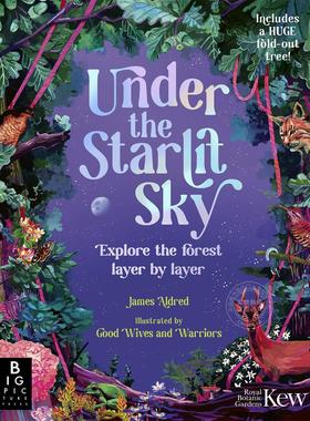 星光之下：逐层探索森林 儿童科普绘本 英文原版 Under the Starlit Sky: Explore the Forest Layer By Layer 7-9岁