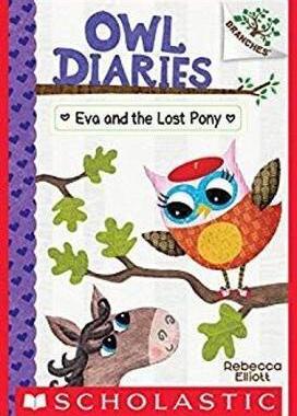 现货 【中图原版】英文进口 猫头鹰日记8 Eva And The Lost Pony 分级读物 英语儿童读物 绘本