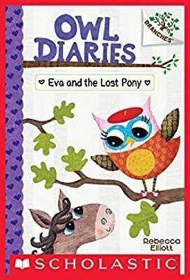 现货 【中图原版】英文进口 猫头鹰日记8 Eva And The Lost Pony 分级读物 英语儿童读物 绘本