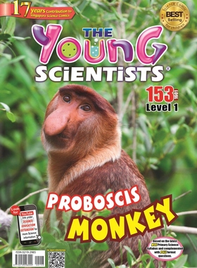 【全年订阅】英文原版杂志 Young Scientists Level 1 小小科学家 阶段1 儿童读物 新加坡杂志 订全年就送国家地理小小探险家