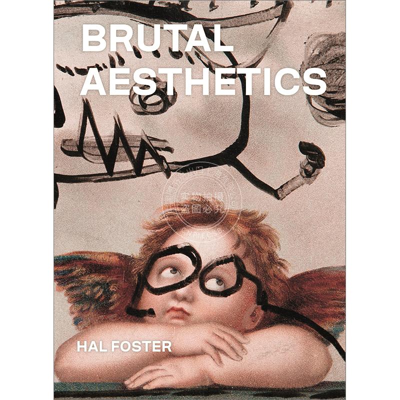 残酷美学 Hal Foster哈尔·福斯特艺术画册战后艺术创作英文原版 Brutal Aesthetics