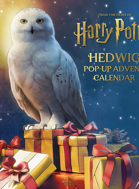 海德薇立体书 倒数日历 哈利波特 英文原版 Harry Potter Hedwig Pop-up Advent Calendar Matthew Reinhart JK罗琳