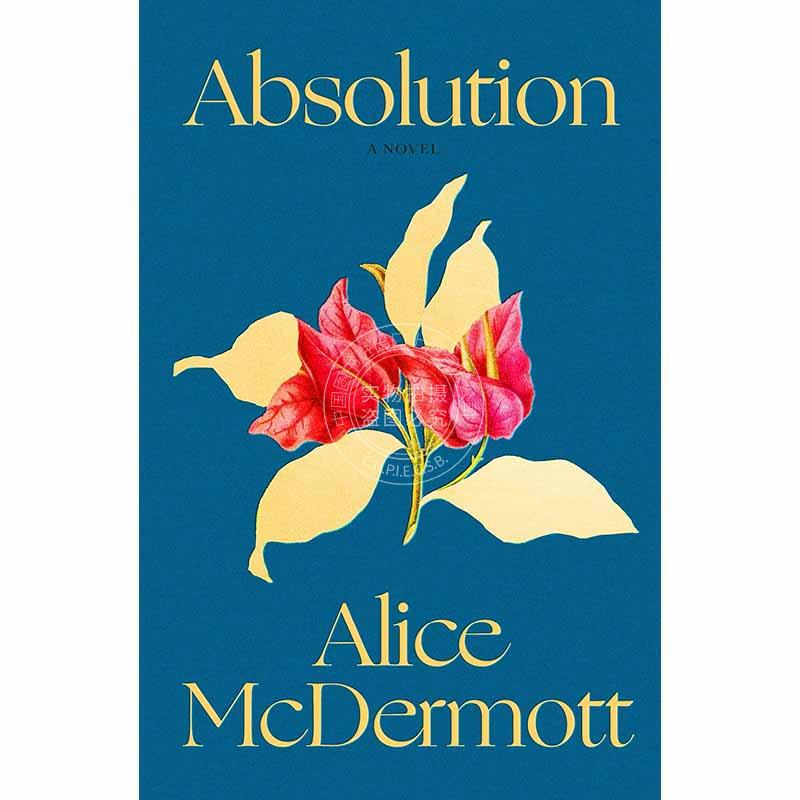 现货 赦免 爱丽丝·麦克德莫特Alice McDermott 英文原版 Absolution 外国文学小说书