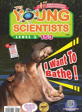 【全年订阅】英文原版杂志 小小科学家 阶段3 Young Scientists Level 3  订全年就送国家地理小小探险家 新加坡儿童读物