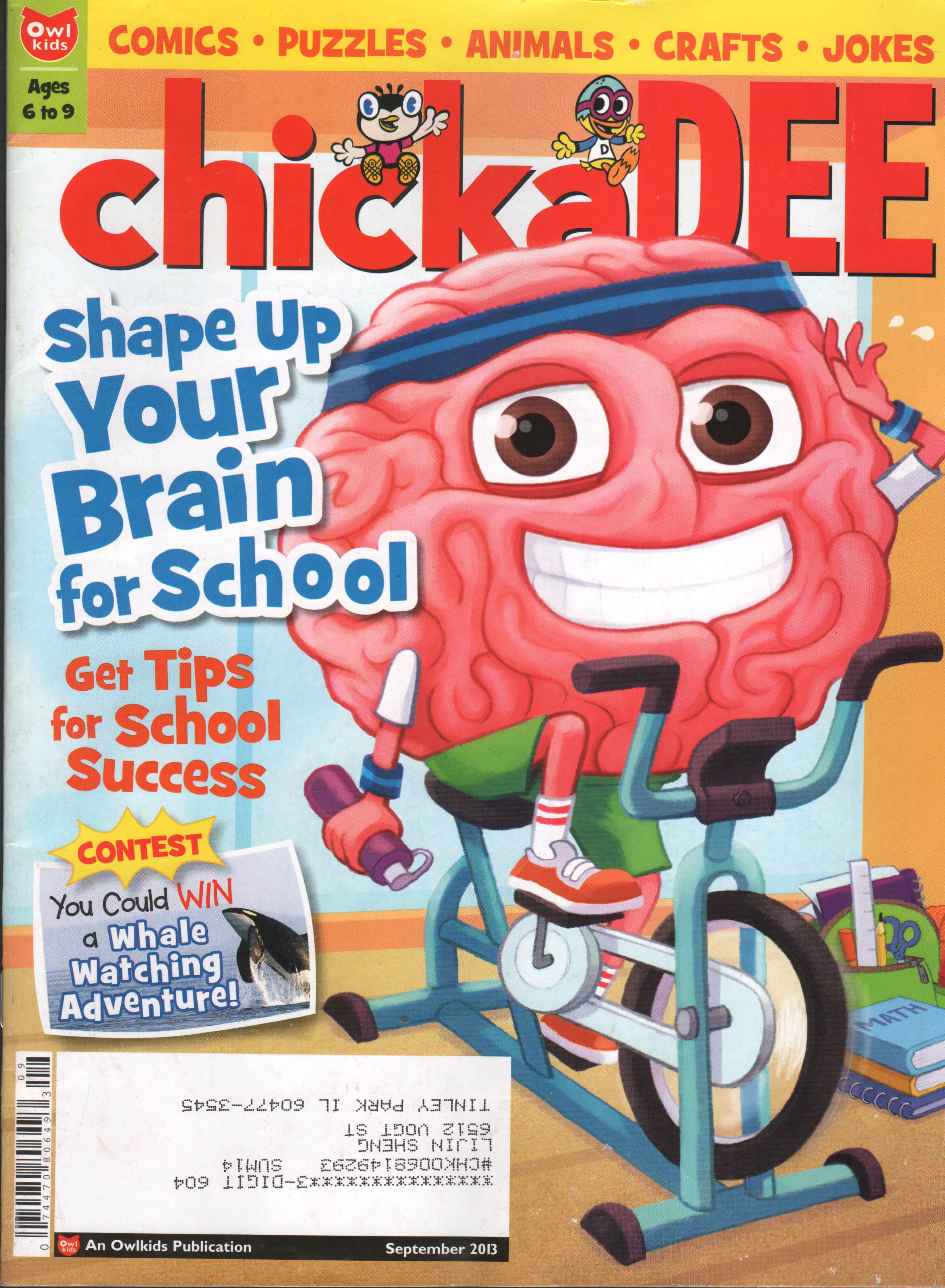 【全年订阅】小鸡 Chickadee 全年报刊杂志 注意此刊需提前3个月下订