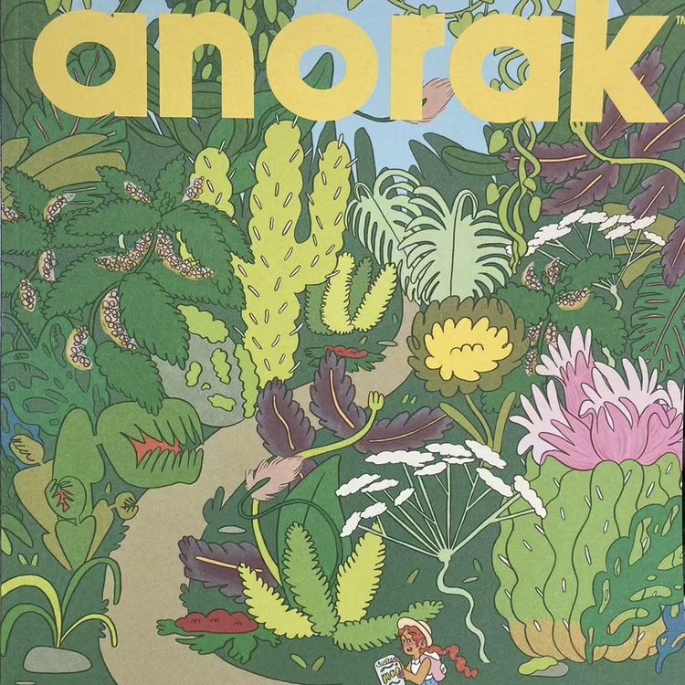 【进口杂志】anorak  65期