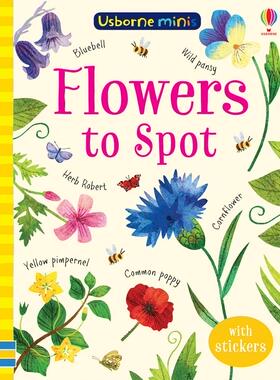 现货 Flowers to Spot 英语原版 Usborne出版 迷你书 儿童花卉科普百科