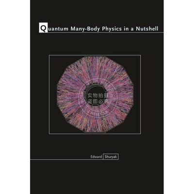 【预售 按需印刷】 Quantum Many-Body Physics in a Nutshell简论量子多体物理学 英文原版普林斯顿
