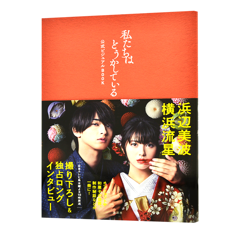 现货 进口日文 设定集写真 我们不对劲 私たちはどうかしている 公式ビジュアルBOOK 横滨流星 滨边美波