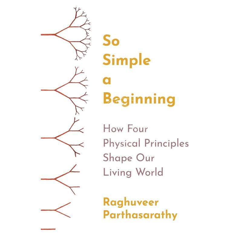So Simple a Beginning如此简单的开始：四个物理原则如何塑造我们的生活世界 普林斯顿