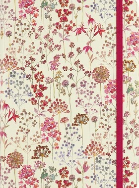 现货 野花草甸笔记本 英文原版 Wildflower Meadow Journal 文创周边 Peter Pauper Press 无酸纸