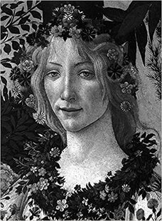 Phaidon 英文原版 全彩精装 进口艺术书 Classics 2015 Classic Botticelli 桑德罗波提切利作品集 现货