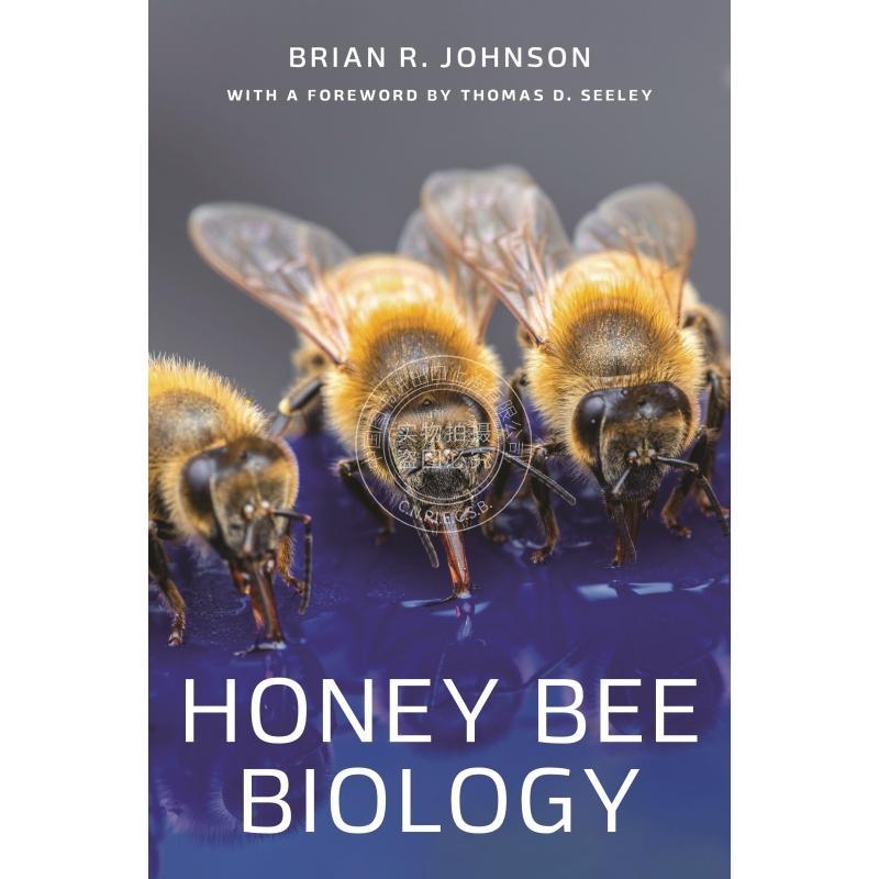 【预售 按需印刷】 Honey Bee Biology蜜蜂生物学 英文原版 普林斯顿大学出版社