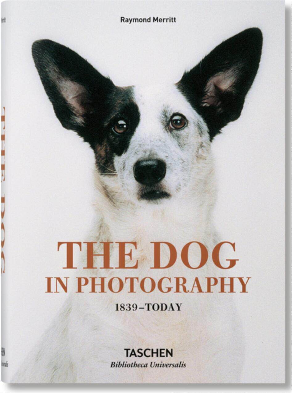 现货 照片中的狗 英文原版 the dog in photography 1839–today 塔森