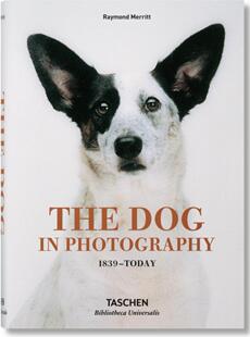 英文原版 The 1839–Today 照片中 塔森艺术书 Photography 狗 现货 Dog