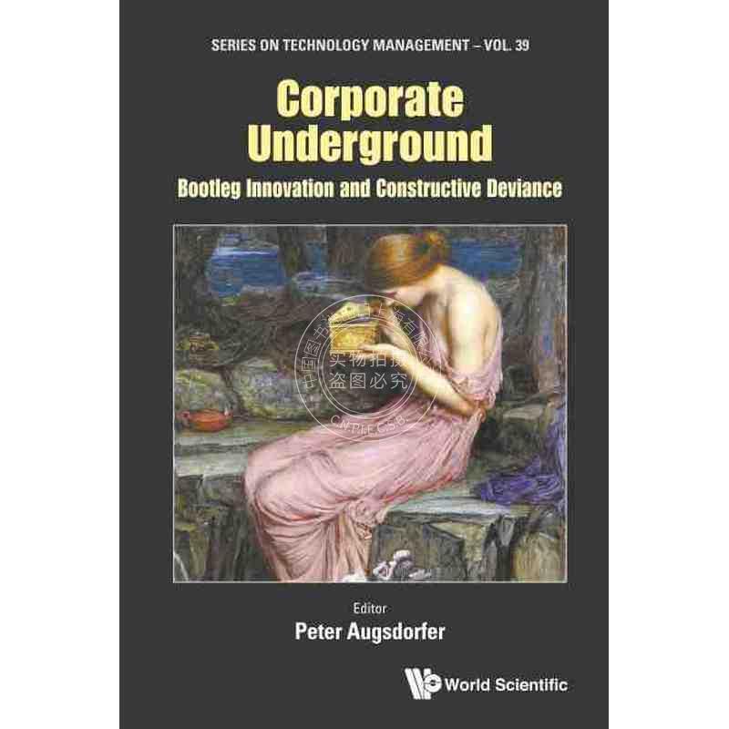【预售 按需印刷】 地下企业：非法创新和建设性偏差CORPORATE UNDERGROUND: BOOTLEG INNOVATION AND CONSTRUCTIVE DEVIANCE