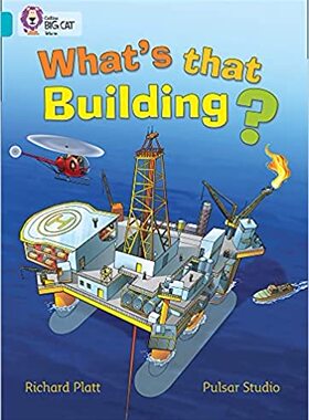 BIG CAT - WHATS THAT BUILD