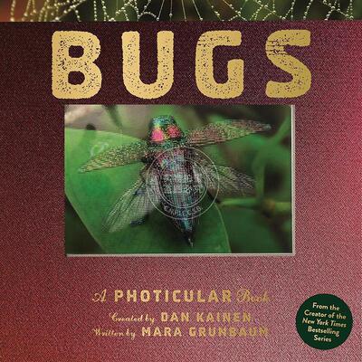 昆虫3D动态立体书 光与影视觉动画书 昆虫科普 Dan Kainen 英文原版 Bugs: A Photicular Book