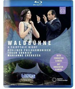 2019年柏林爱乐温布尼森林剧场露天音乐会 中图音像