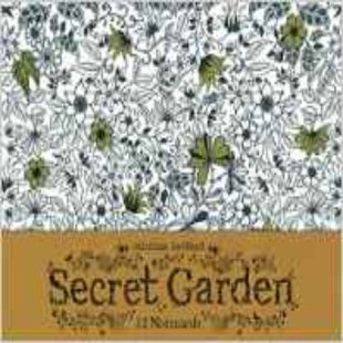 现货 Garden Secret Notecards 英文原版