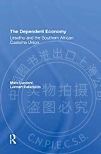 预售 按需印刷 The Dependent Economy