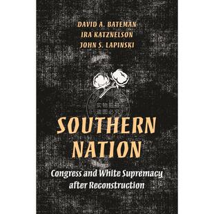 按需印刷 Southern Nation南方民族：重建后的国会与白人至上 英文原版普林斯顿