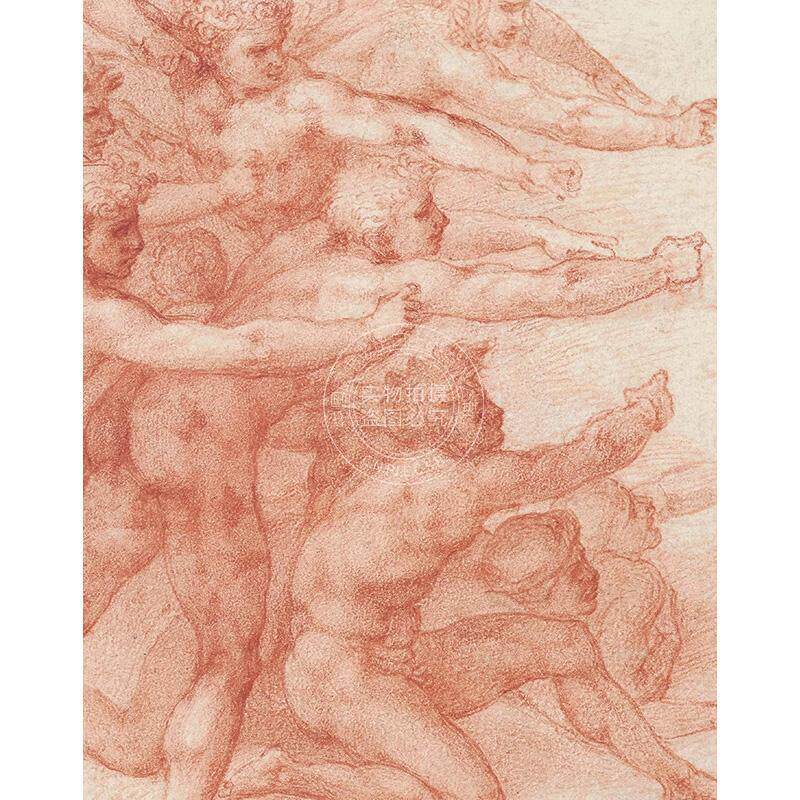 预售 米开朗基罗 神圣的画家和设计师 进口艺术 Michelangelo: Divine Draftsman and Designer 英文原版 Carmen C.Bambach