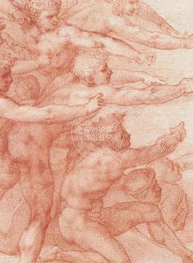 预售 米开朗基罗 神圣的画家和设计师 进口艺术 Michelangelo: Divine Draftsman and Designer 英文原版 Carmen C.Bambach