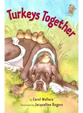 现货 Turkeys Together