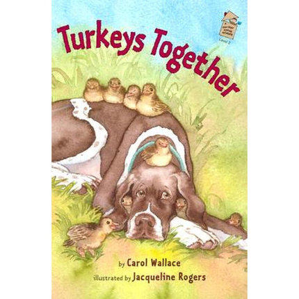 现货 Turkeys Together
