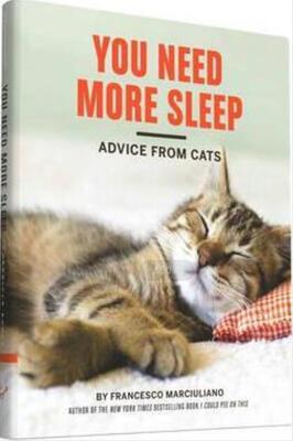现货 You Need More Sleep: Advice from Cats 你需要多睡点：来自猫的建议
