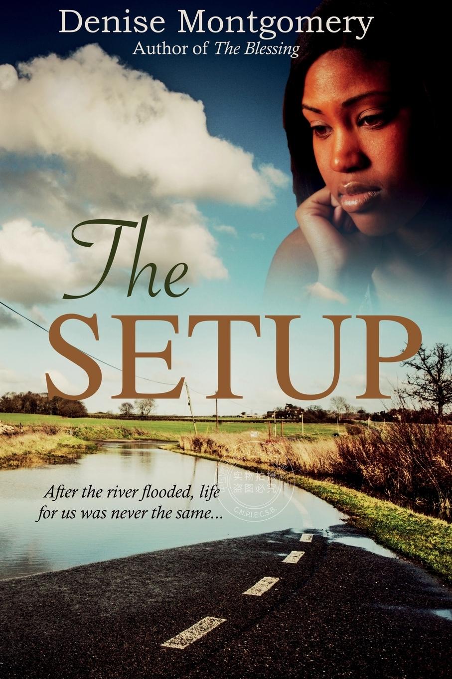 预售 按需印刷 设置 Denise E Montgomery 英文原版 The Setup