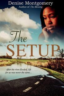Denise Montgomery 预售 The 设置 英文原版 Setup 按需印刷