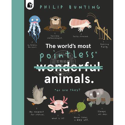 现货 世界上无意义的动物 儿童科普读物 Philip Bunting 英文原版 The World's Most Pointless Animals 5-8岁