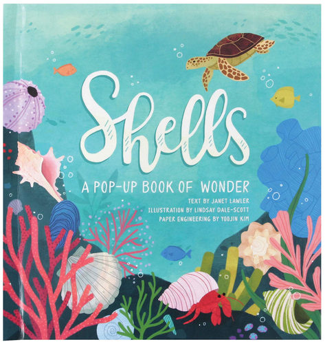 现货 贝壳：夏季立体书 四季立体书系列 英文原版 Shells: A Summer Pop-Up Book