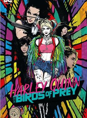 现货 哈莉奎茵和猛禽小队 电影封面漫画小说 猛禽小队背景介绍 英文原版 DC漫画 平装 Harley Quinn & the Birds of Prey