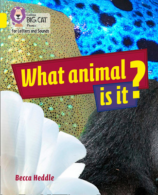 BIG CAT PHON_WHAT ANIMAL IS