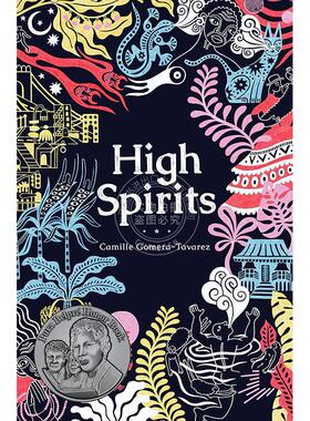 现货 兴高采烈 卡米尔·戈梅拉-塔瓦雷斯 Camille Gomera-Tavarez 多米尼加侨民短篇故事集  英文原版 High Spirits