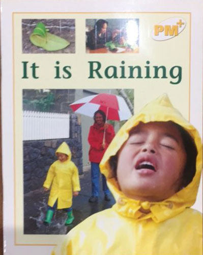 现货 Yellow Level - Non-fiction Books PM彩虹阅读 小学教育分级阅读6册