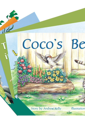 现货 进口原版英文PM彩虹阅读系列PM READERS - GREEN, SET 13A FICTION READERS X 5绿色级别 Level 13A全5册6-8-12岁分级阅读启