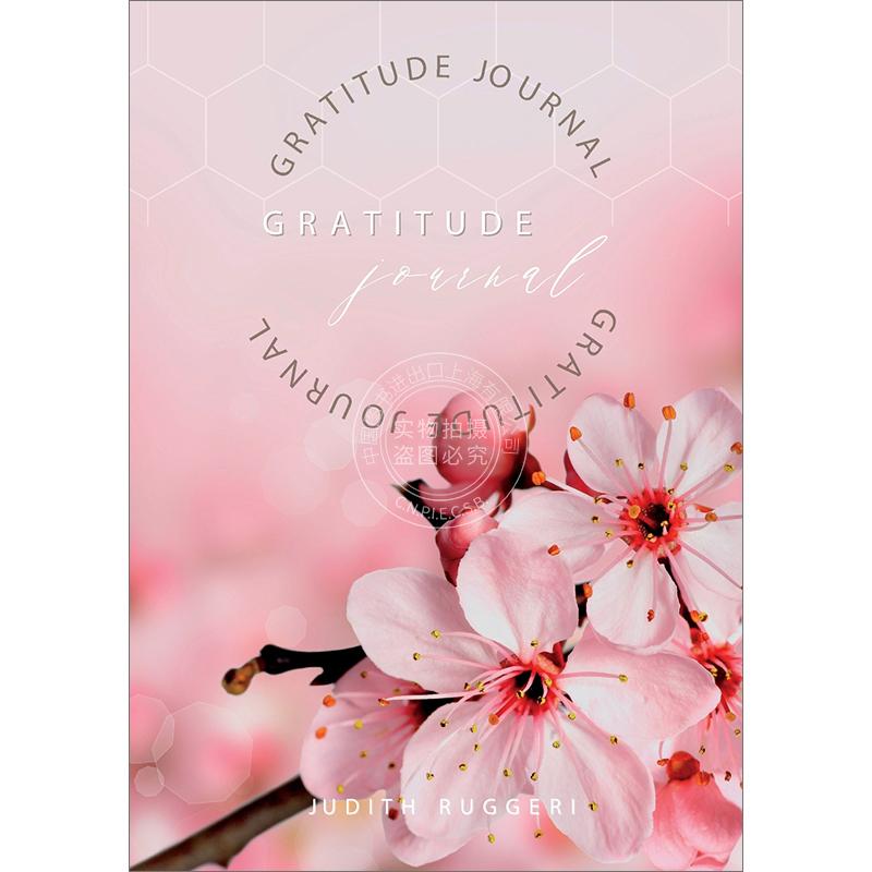 预售 按需印刷 感恩日志 Judith Ruggeri 英文原版 GRATITUDE JOURNAL